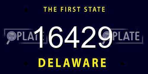 16429 Delaware License Plate
