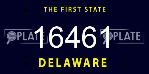 16461 Delaware License Plate