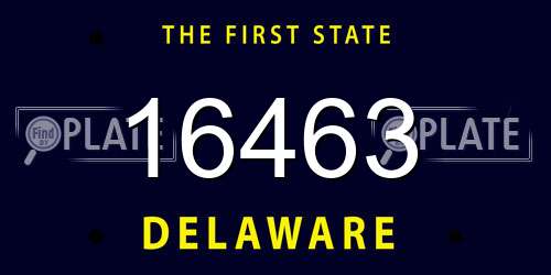 16463 Delaware License Plate