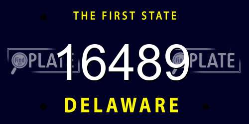 16489 Delaware License Plate