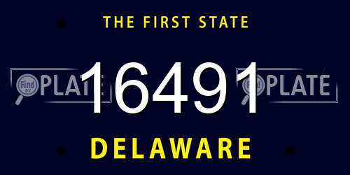 16491 Delaware License Plate