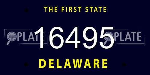 16495 Delaware License Plate