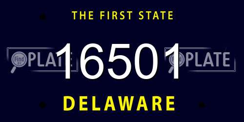 16501 Delaware License Plate
