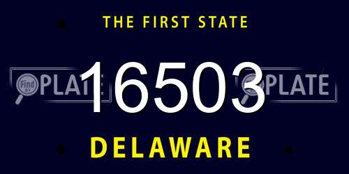 16503 Delaware License Plate