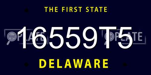 16559T5 Delaware License Plate