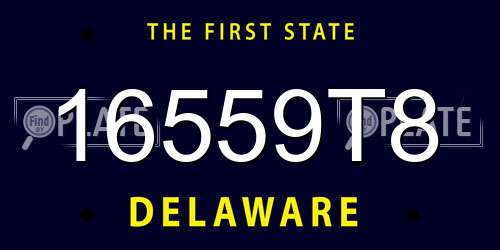 16559T8 Delaware License Plate