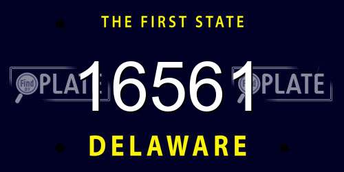16561 Delaware License Plate