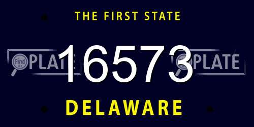 16573 Delaware License Plate