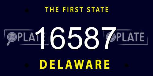 16587 Delaware License Plate