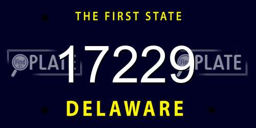 17229 Delaware License Plate