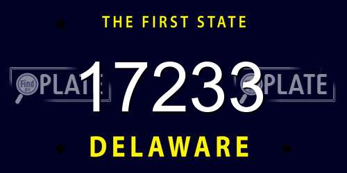 17233 Delaware License Plate
