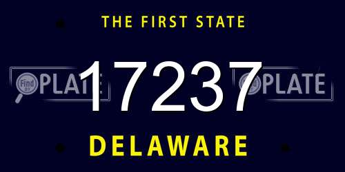 17237 Delaware License Plate