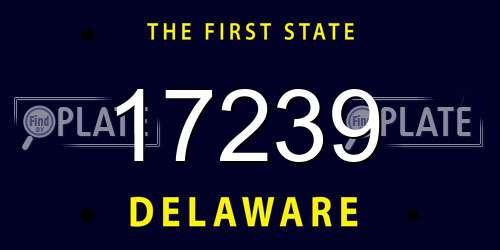 17239 Delaware License Plate