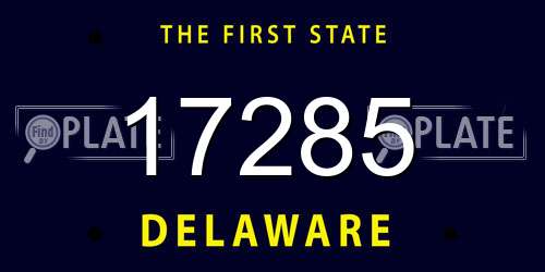 17285 Delaware License Plate
