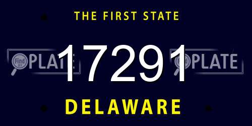 17291 Delaware License Plate