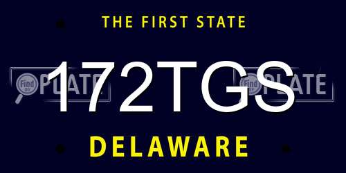 172TGS Delaware License Plate