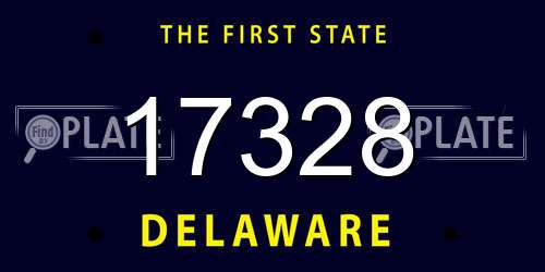 17328 Delaware License Plate