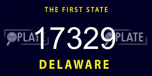 17329 Delaware License Plate