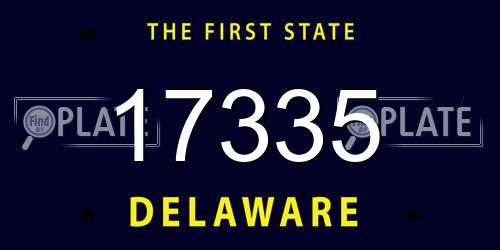 17335 Delaware License Plate
