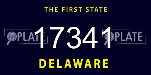 17341 Delaware License Plate