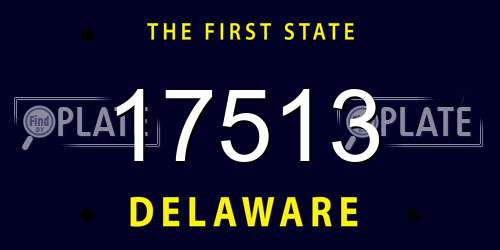 17513 Delaware License Plate