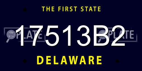 17513B2 Delaware License Plate