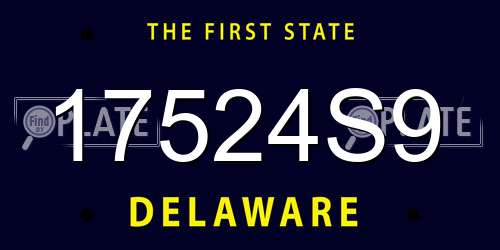 17524S9 Delaware License Plate