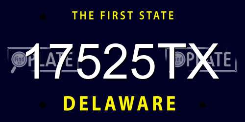 17525TX Delaware License Plate