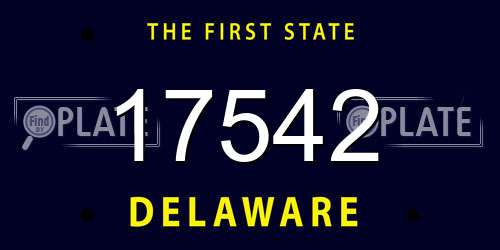 17542 Delaware License Plate