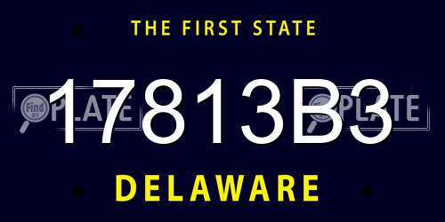17813B3 Delaware License Plate