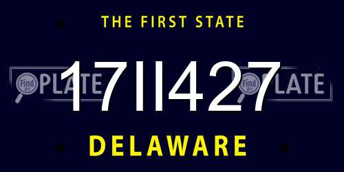 17II427 Delaware License Plate