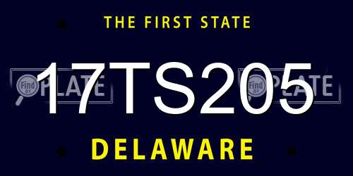 17TS205 Delaware License Plate