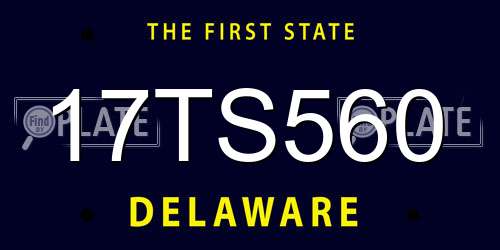 17TS560 Delaware License Plate