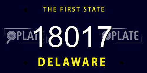 18017 Delaware License Plate
