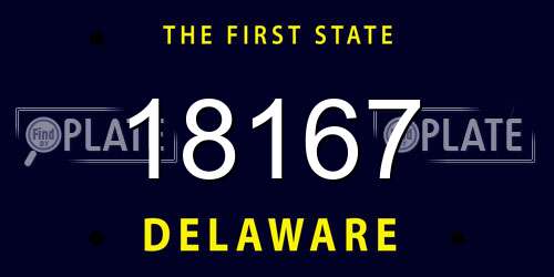 18167 Delaware License Plate