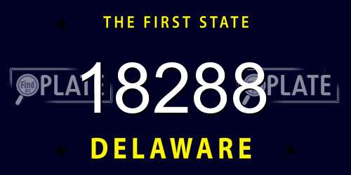 18288 Delaware License Plate
