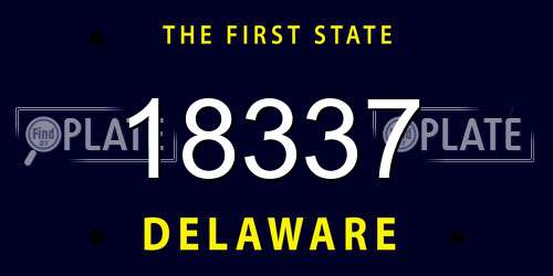 18337 Delaware License Plate