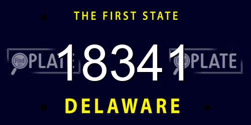 18341 Delaware License Plate