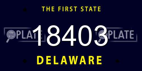 18403 Delaware License Plate