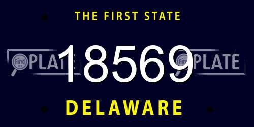18569 Delaware License Plate