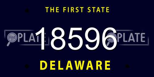 18596 Delaware License Plate