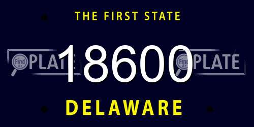 18600 Delaware License Plate