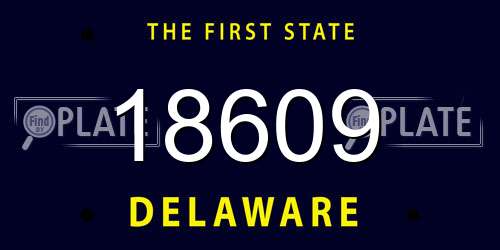 18609 Delaware License Plate