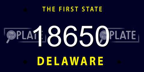 18650 Delaware License Plate