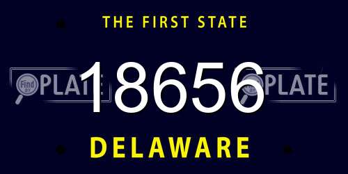 18656 Delaware License Plate