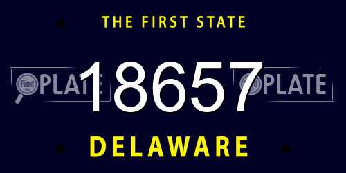 18657 Delaware License Plate