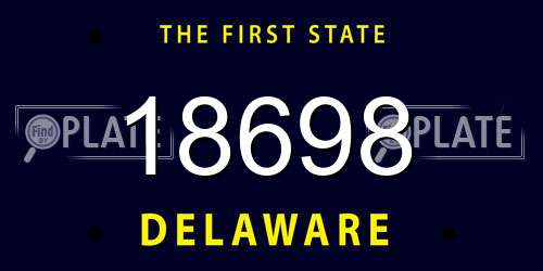 18698 Delaware License Plate