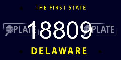 18809 Delaware License Plate
