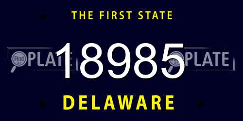 18985 Delaware License Plate
