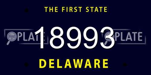18993 Delaware License Plate